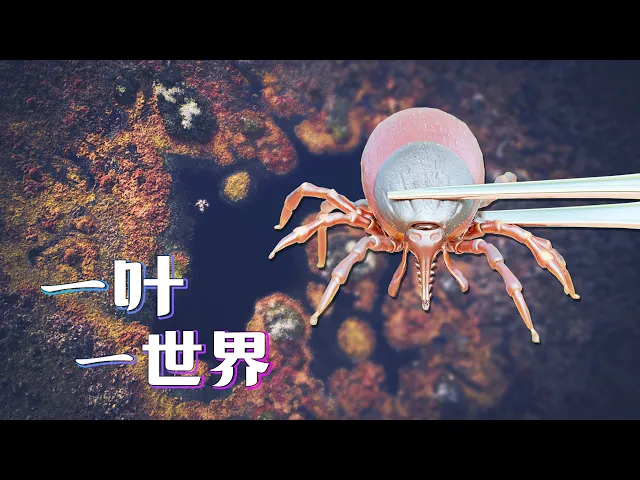 最难数的不是头发丝,而是你脸上的200万只螨虫!